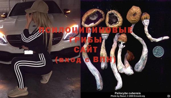 Альфа ПВП Балахна