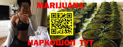 Альфа ПВП Канаш