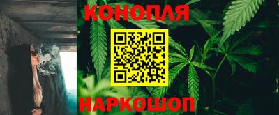 Альфа ПВП Канаш