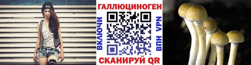 Галлюциногенные грибы Psilocybine cubensis  Кубинка 