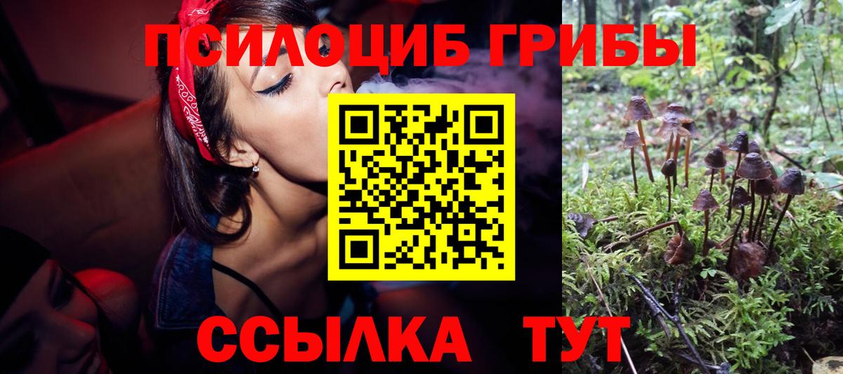 Галлюциногенные грибы Cubensis Кубинка
